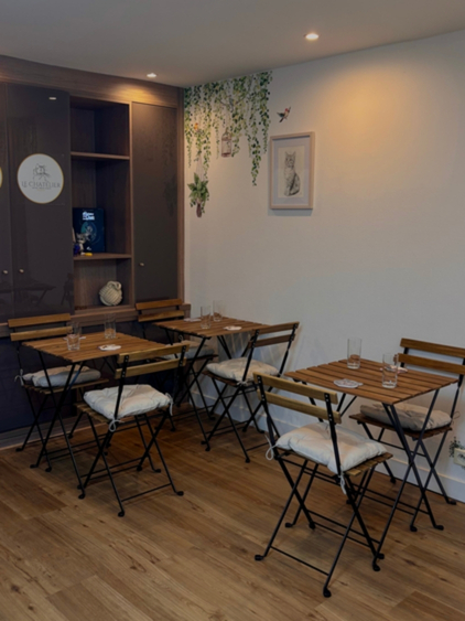 Le Chatelier - Etablissement conçu pour le bien être des chats installé par Paris Commerces dans le 5e