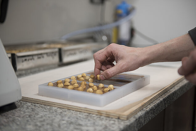 Florian Mésère - Artisan chocolatier installé à Paris 17e