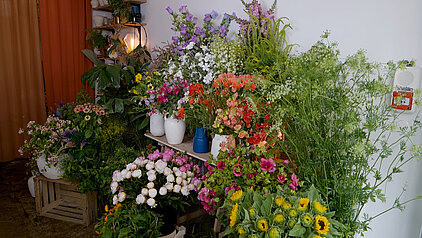 fleuriste paris 19e atelier cosmos